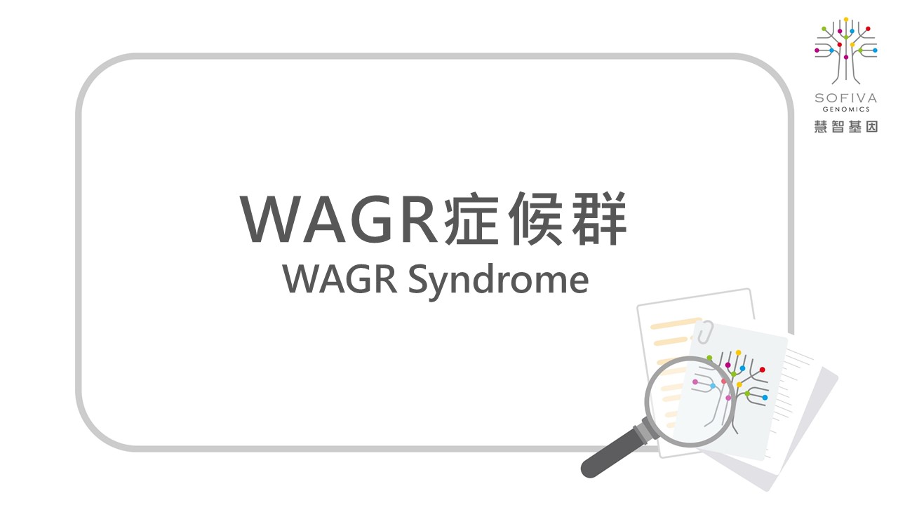 WAGR症候群,NIPS,全方位複合式晶片檢測,非侵產前染色體篩檢