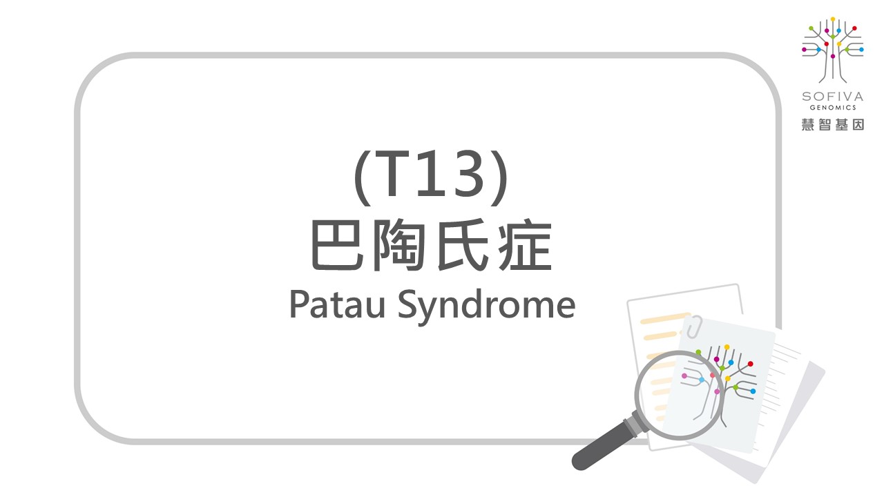 Trisomy13,T13,巴陶氏症,全方位複合式晶片檢測,NIPS,非侵產前染色體篩檢